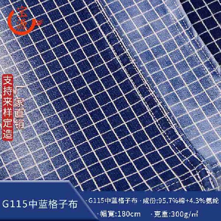 G115 medium blue plaid